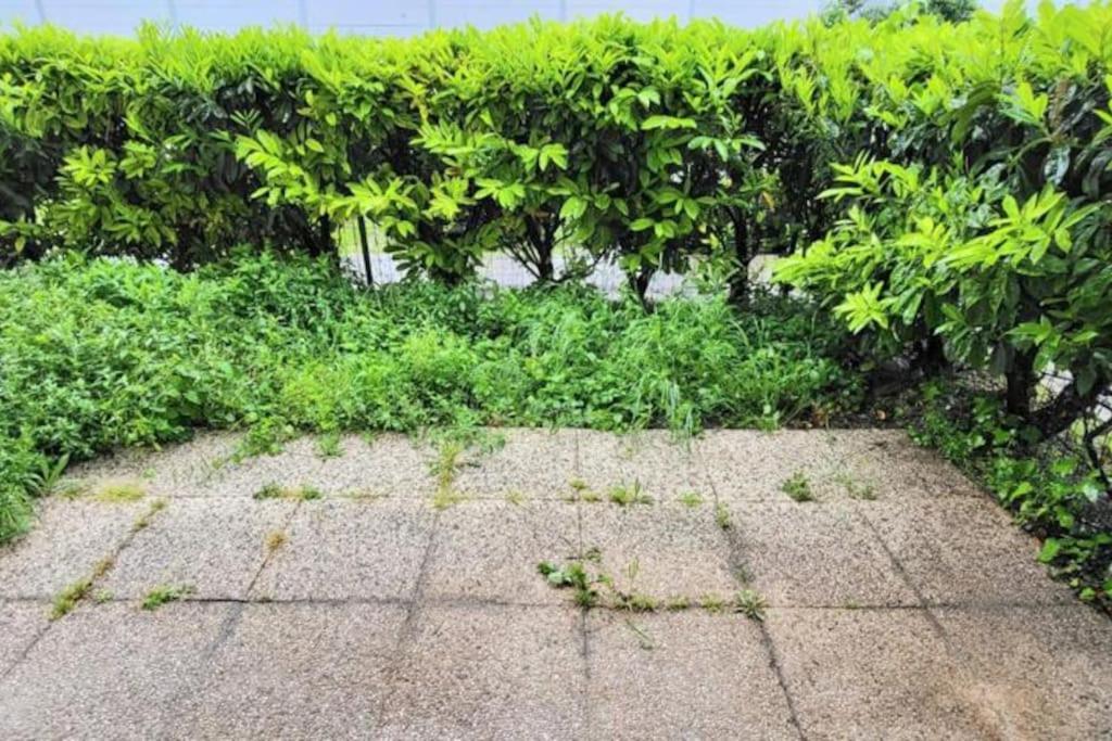 Appartement Cosy Proche Paris Le Bourget Eksteriør billede